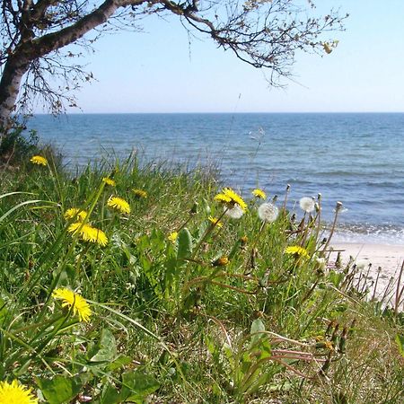 Ystad Camping מראה חיצוני תמונה